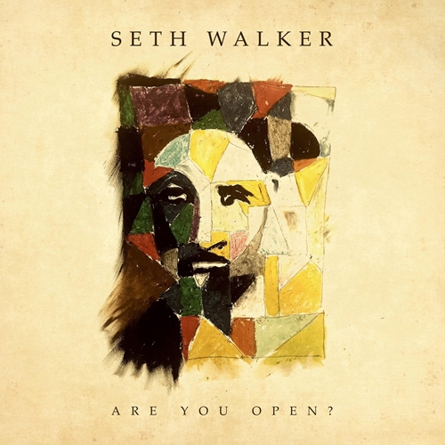 Picture of Are You Open?  by Seth Walker