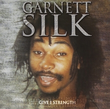 Picture of GIVE I STRENGTH  by GARNET SILK