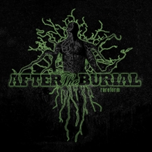 Picture of RAREFORM  by AFTER THE BURIAL