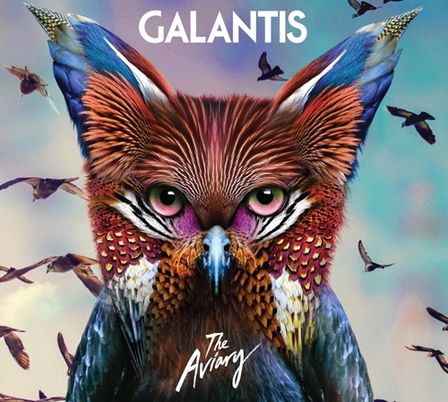 Picture of THE AVIARY  by GALANTIS