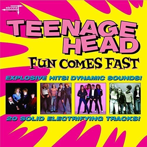 Picture of FUN COMES FAST  by TEENAGE HEAD