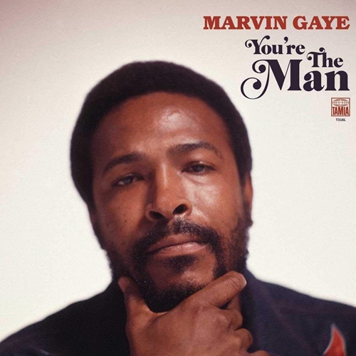 Picture of YOU'RE THE MAN  by GAYE,MARVIN