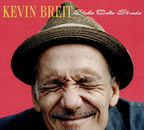 Picture of STELLA BELLA STRADA  by KEVIN BREIT