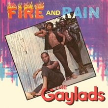 Picture of FIRE AND RAIN: EXPANDED EDITION