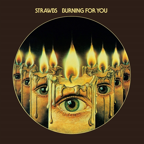 Picture of BURNING FOR YOU: REMASTERED & EXPANDED EDITION