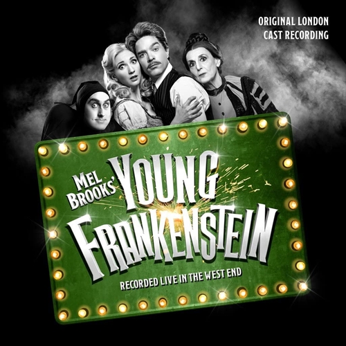 Picture of Mel Brooks' Young Frankenstein