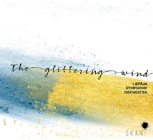 Picture of The Glittering Wind