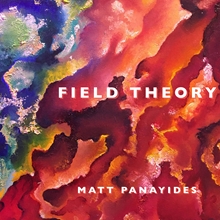 Picture of Field Theory