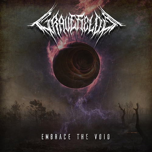 Picture of Embrace the Void