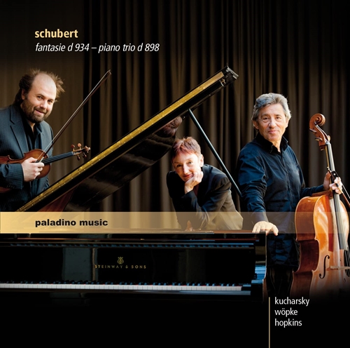 Picture of Schubert: Fantasie D 934:piano Trio D 898:impromptu D 935/2