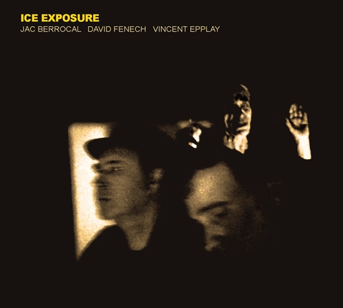 Picture of Ice Exposure