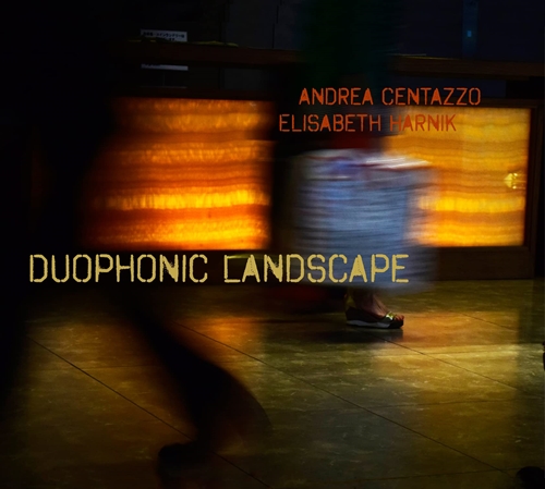 Picture of Duophonic Landscape