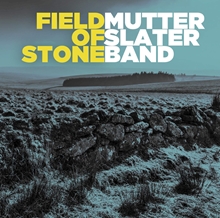 Picture of Field Of Stone