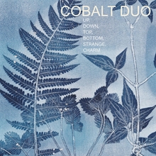 Picture of Cobalt Duo: Up, Down, Top, Bottom, Strange, Charm