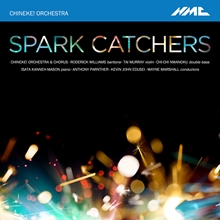 Picture of Chineke!: Spark Catchers