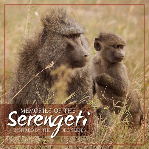 Picture of Memories Of The Serengeti