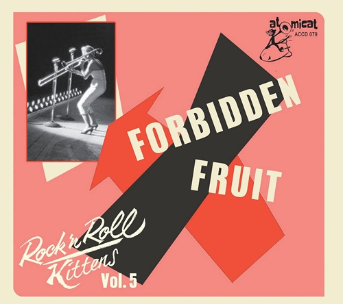 Picture of Rock & Roll Kitten Vol 5: Forbidden Fruit