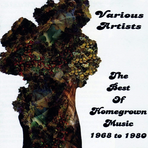 Picture of THE BEST OF HOMEGROWN MUSIC 19