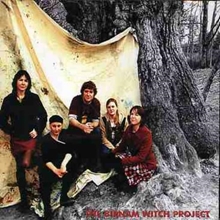 Picture of THE BIRNAM WITCH PROJECT