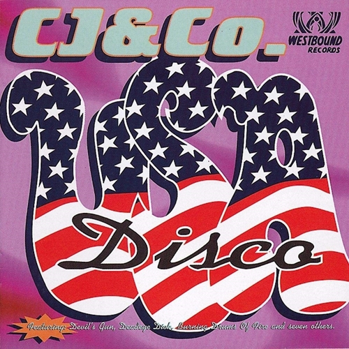 Picture of USA DISCO