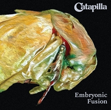 Picture of EMBRYONIC FUSION