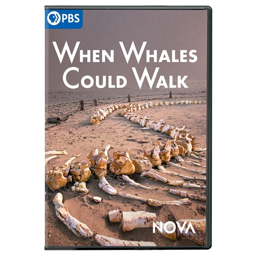 Picture of NOVA: WHEN WHALES COULD WALK