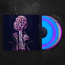 Picture of Hallucinogen (Lp1: Purple/Blue Merge Heavy Vinyl,Lp2:Green/Purple Merge Vinyl) (2LP) by White Ward