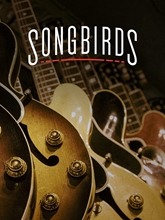 Picture of SONGBIRDS