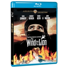 Picture of WIND & THE LION