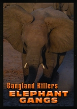 Picture of Gangland Killers: Elephant Gangs