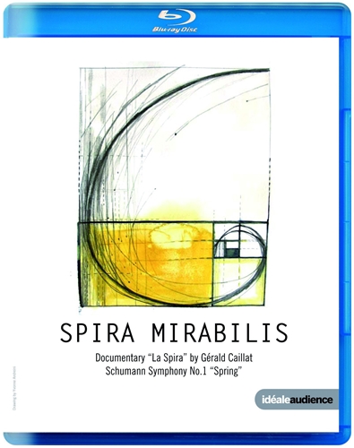 Picture of SPIRA MIRABILIS