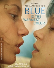 Picture of BLUE IS THE WARMEST COLOR/BD