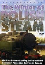 Picture of The Winter Of Polish Steam