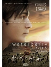 Picture of WATERBERRY TEARS