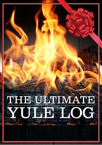 Picture of YULE LOG