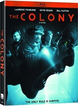 Picture of COLONY