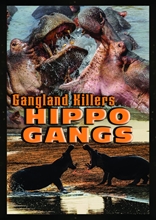 Picture of Gangland Killers: Hippo Gangs