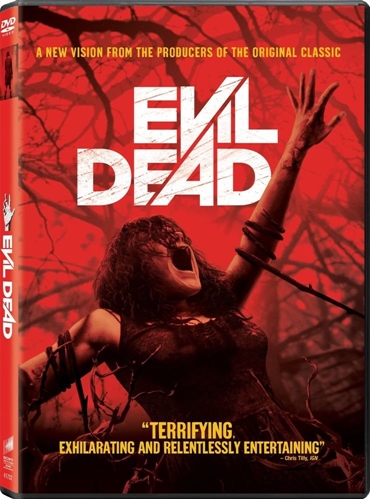 Picture of EVIL DEAD (2013)