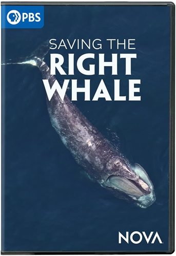 Picture of NOVA: SAVING THE RIGHT WHALE