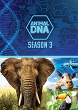 Picture of Animal DNA: Season Three