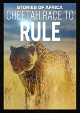 Picture of Stories Of Africa: Cheetah Race To Rule