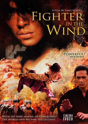 Picture of Fighter In The Wind (special Edition)