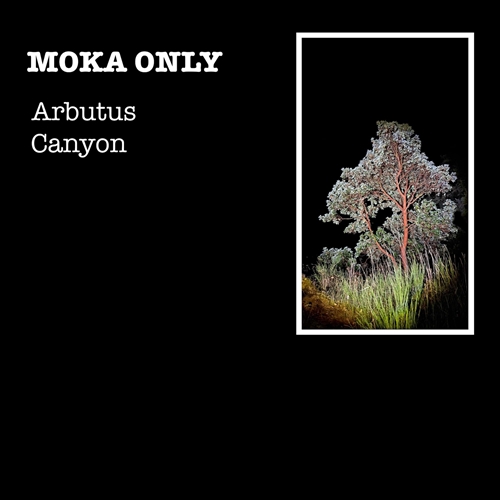 Picture of ARBUTUS CANYON (LP) by MOKA ONLY