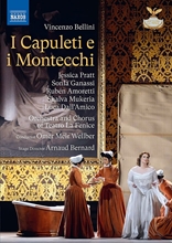 Picture of I CAPULETI E I MONTECCHI