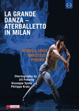 Picture of LA GRANDE DANZA: ATERBALLETTO IN MILAN