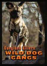 Picture of Gangland Killers: Wild Dog Gangs