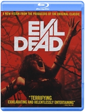 Picture of EVIL DEAD (2013)