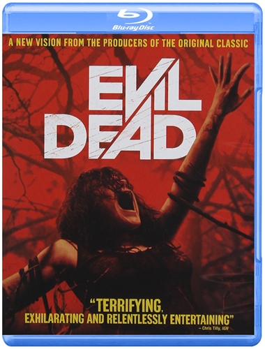 Picture of EVIL DEAD (2013)