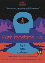 Picture of POST TENEBRAS LUX