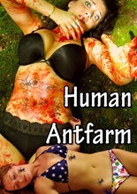 Picture of Human Antfarm